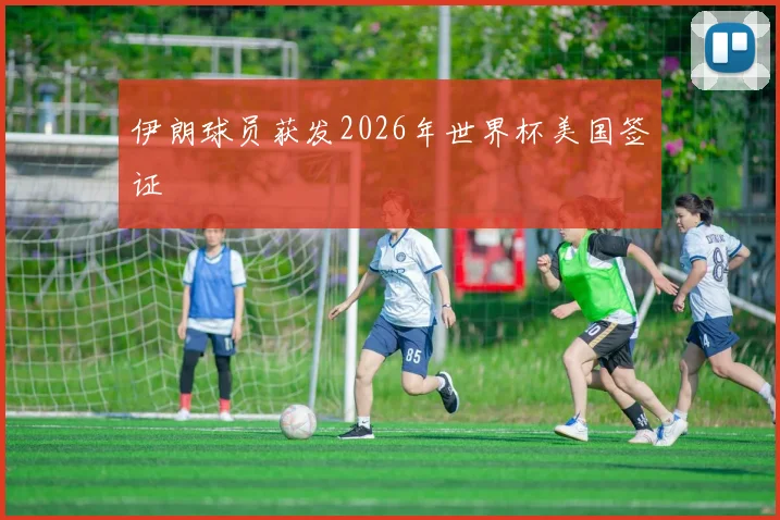伊朗球员获发2026年世界杯美国签证